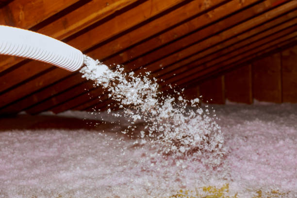 Best Insulation Maintenance and Repair in Prospect, KY